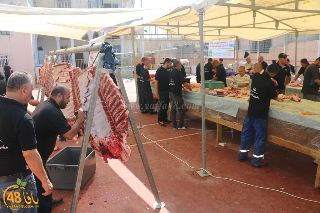 ada7y forthei (125).JPG